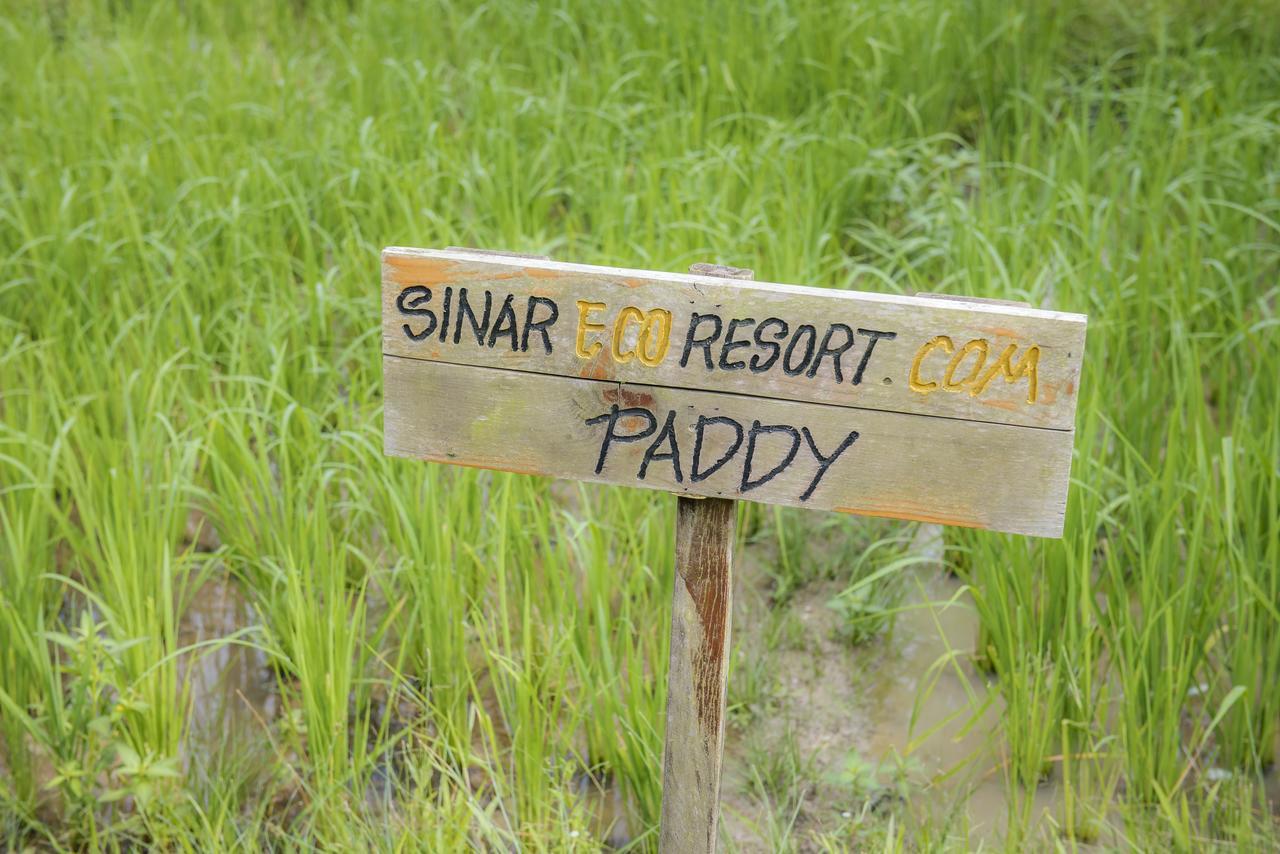 Sinar Eco Resort Kampong Bukit Panjang Exterior photo